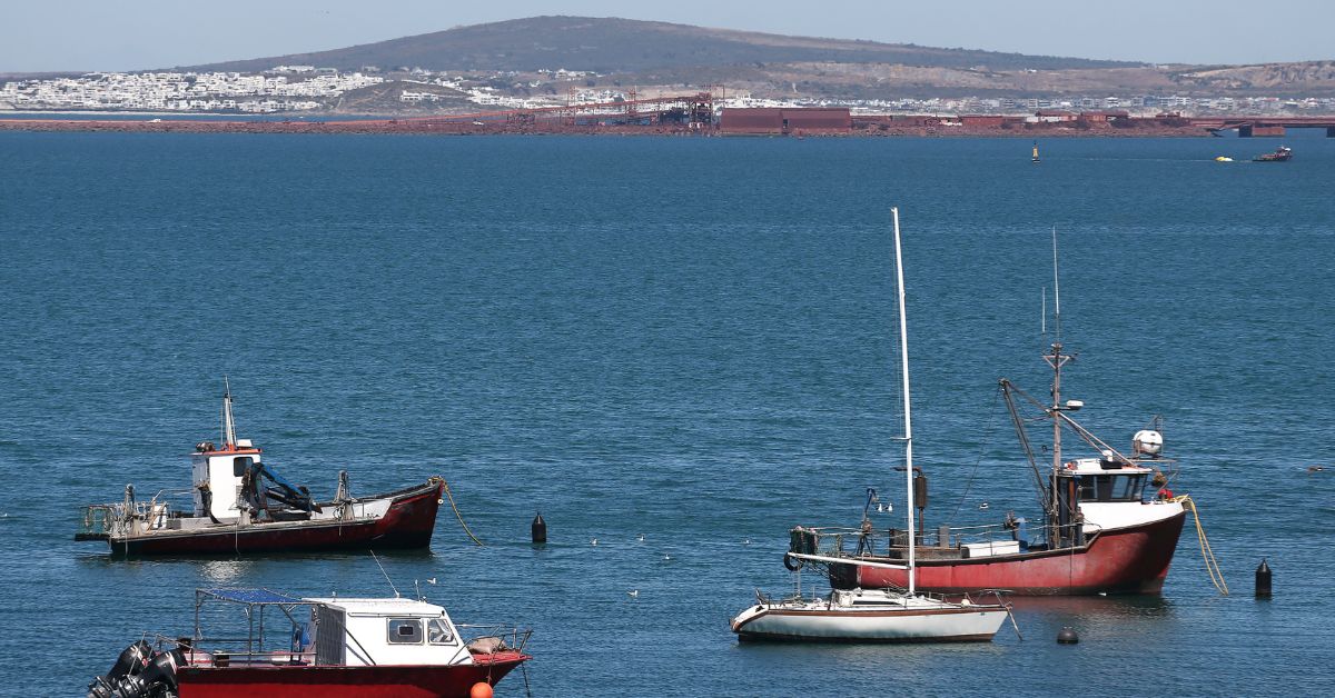 Saldanha Bay Harbour - Fishing boats in the water