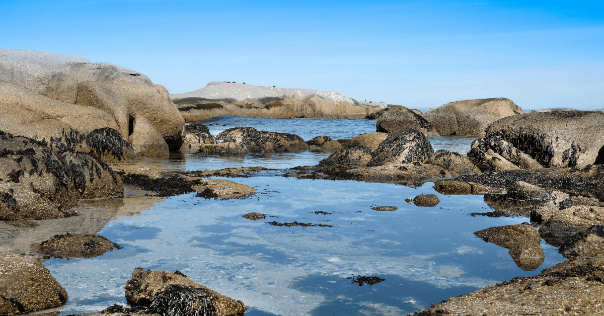 Must-see Towns along the West Coastline - Paternoster rock pools