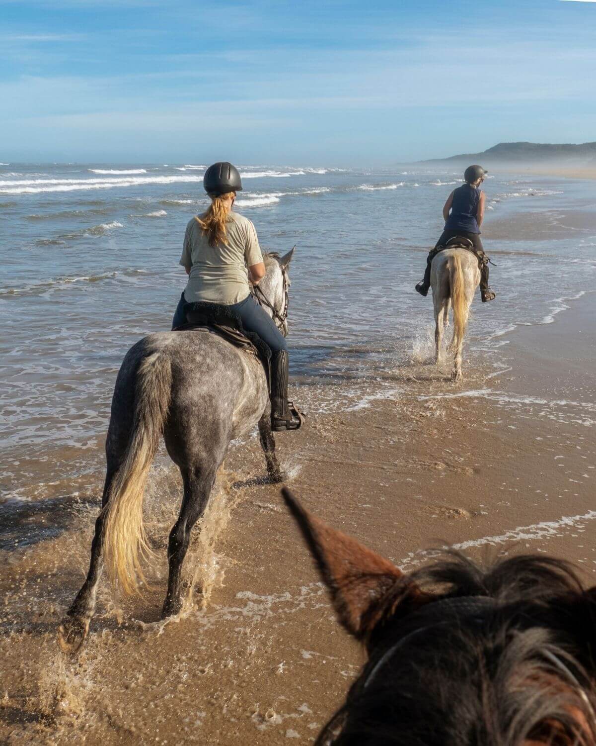 People horse riding by the ocean